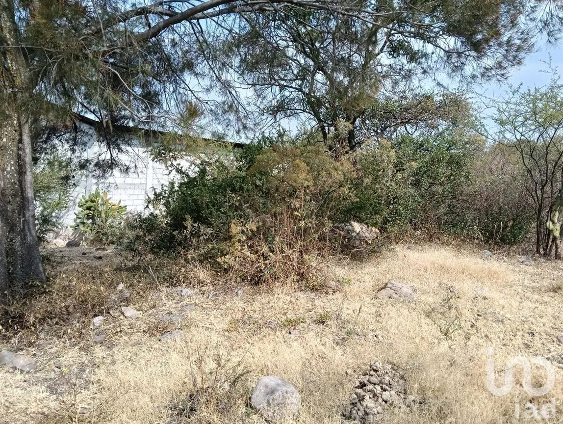Terreno en Venta en La Ceja, Huimilpan, Querétaro | NEX-278931 | iad México | Foto 7 de 13