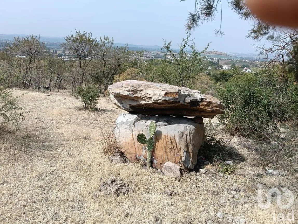 Terreno en Venta en La Ceja, Huimilpan, Querétaro | NEX-278931 | iad México | Foto 10 de 13