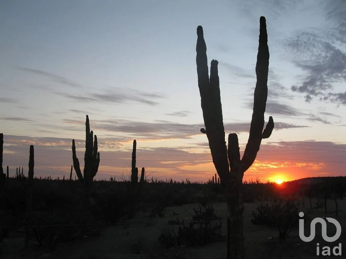 Terreno en Venta en Heroica Mulegé Centro, Mulegé, Baja California Sur | NEX-279100 | iad México | Foto 11 de 15