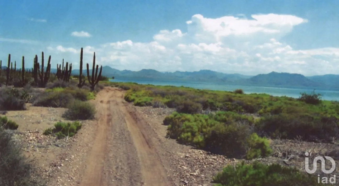 Terreno en Venta en Heroica Mulegé Centro, Mulegé, Baja California Sur | NEX-279100 | iad México | Foto 5 de 15
