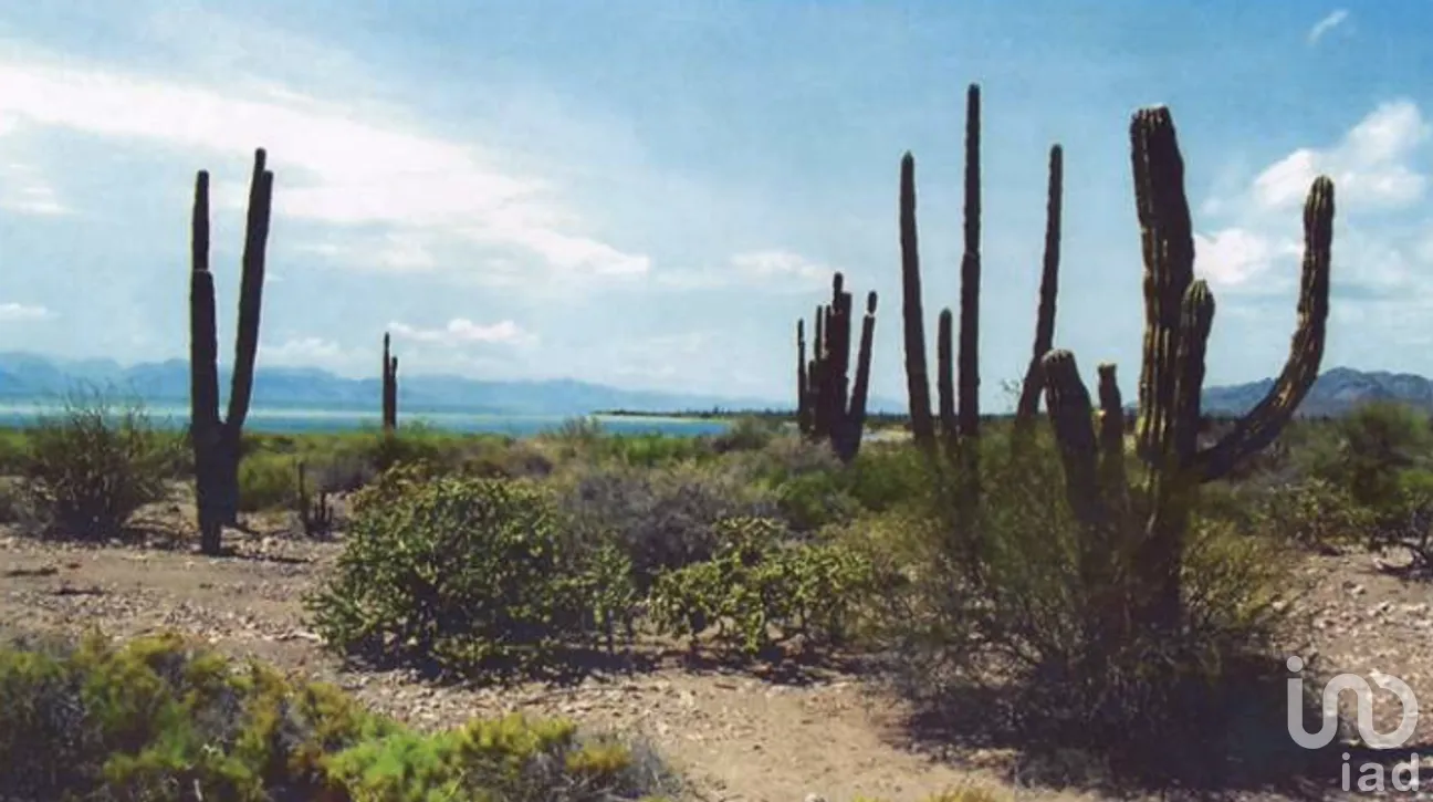Terreno en Venta en Heroica Mulegé Centro, Mulegé, Baja California Sur | NEX-279100 | iad México | Foto 8 de 15
