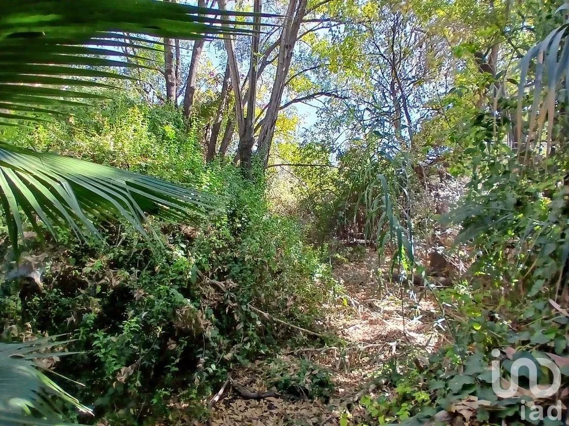 Terreno en Venta en Centro, Querétaro, Querétaro | NEX-288142 | iad México | Foto 12 de 22