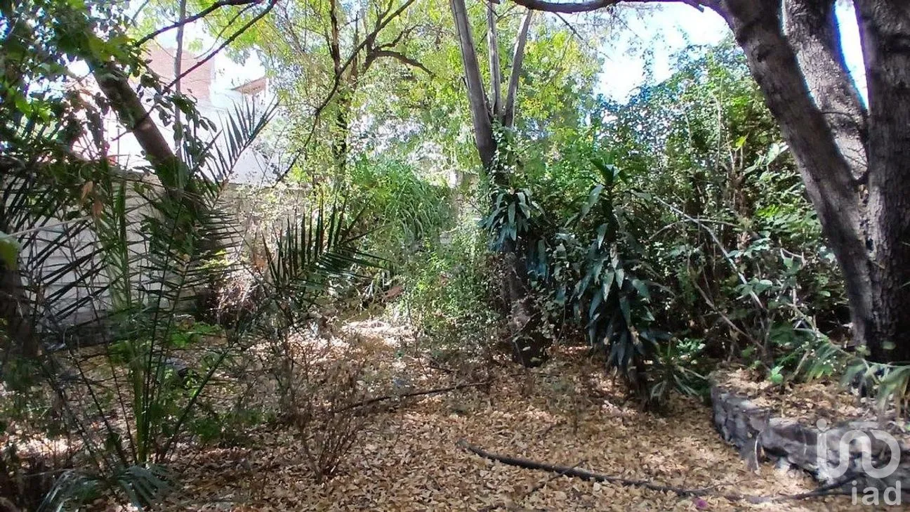Terreno en Venta en Centro, Querétaro, Querétaro | NEX-288142 | iad México | Foto 5 de 22