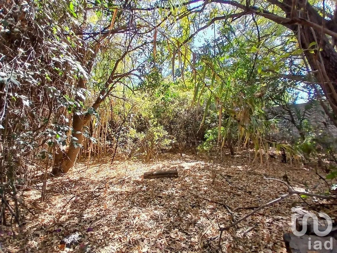 Terreno en Venta en Centro, Querétaro, Querétaro | NEX-288142 | iad México | Foto 6 de 22