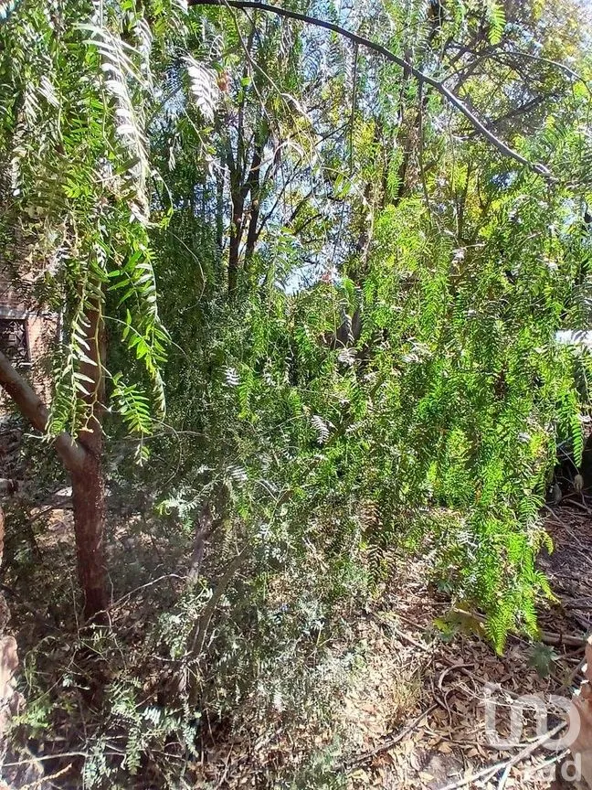Terreno en Venta en Centro, Querétaro, Querétaro | NEX-288142 | iad México | Foto 9 de 22