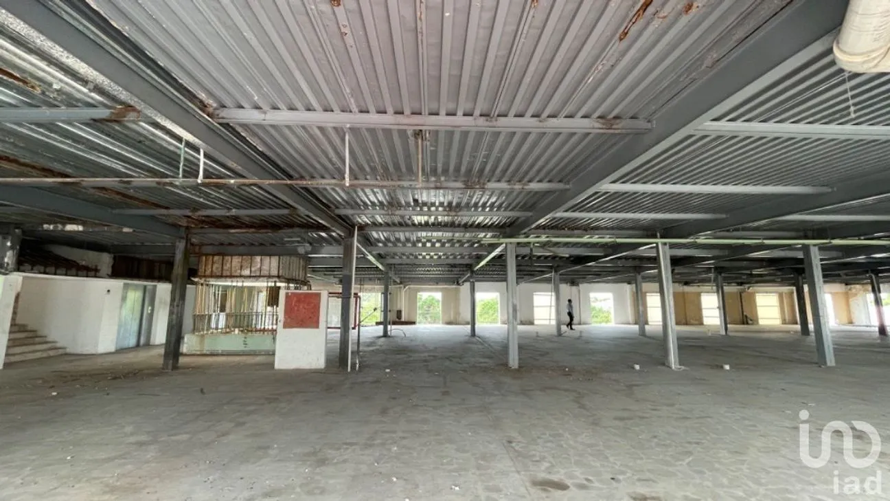 Oficina en Venta en La Marina, Puerto Vallarta, Jalisco | NEX-230327 | iad México | Foto 12 de 25