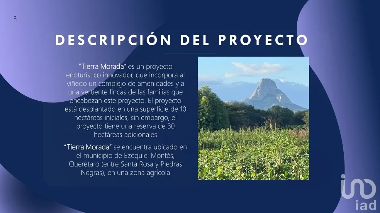 Terreno en Venta en Bernal, Ezequiel Montes, Querétaro | NEX-277908 | iad México | Foto 2 de 33