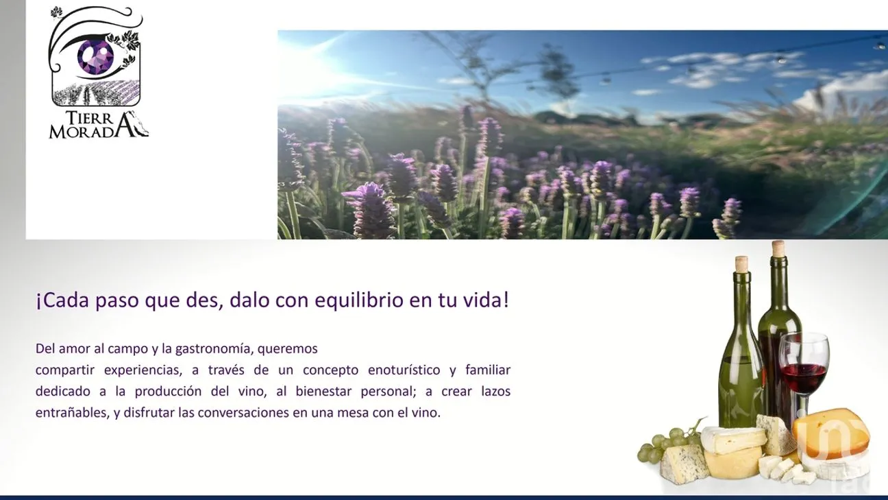 Terreno en Venta en Bernal, Ezequiel Montes, Querétaro | NEX-277908 | iad México | Foto 3 de 33