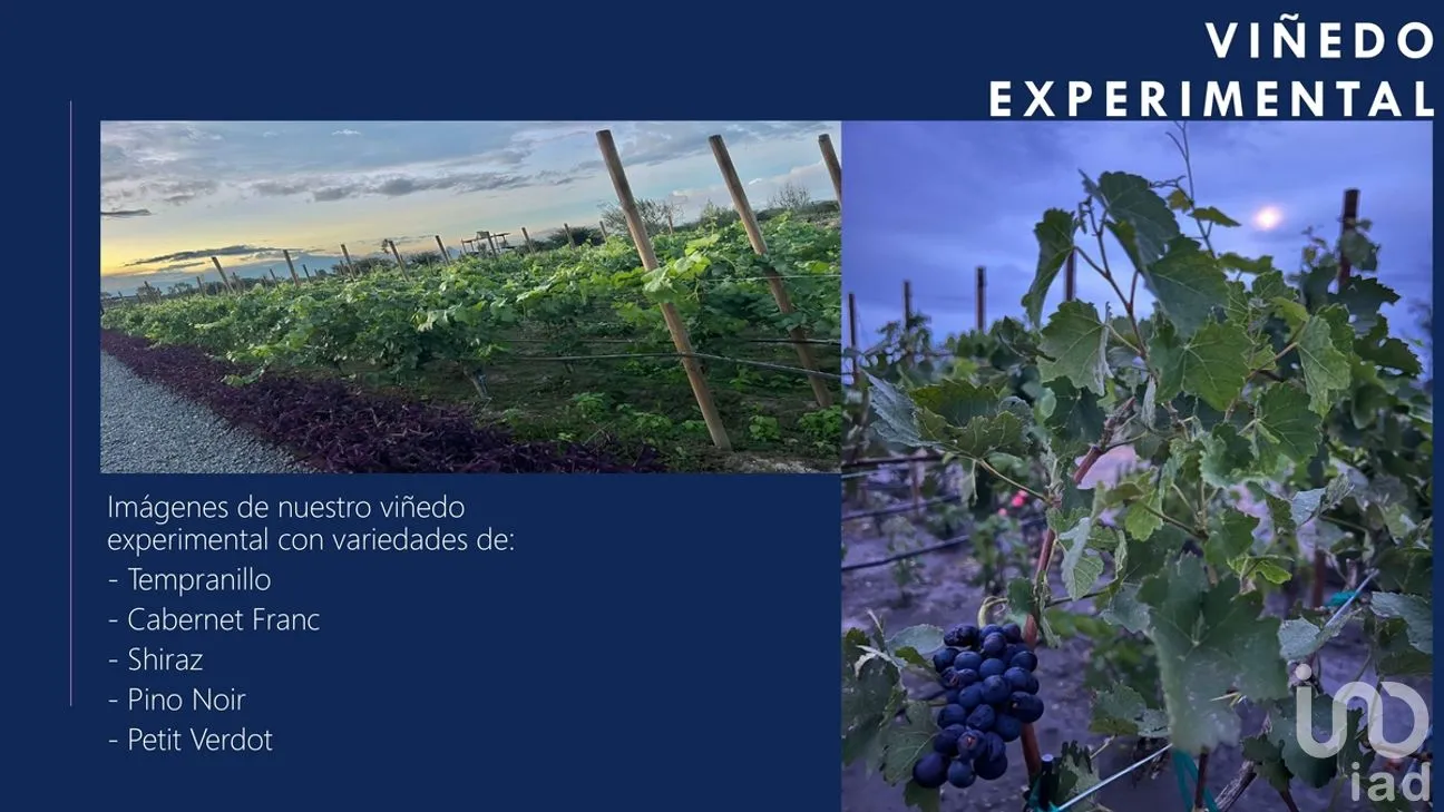 Terreno en Venta en Bernal, Ezequiel Montes, Querétaro | NEX-277908 | iad México | Foto 24 de 33