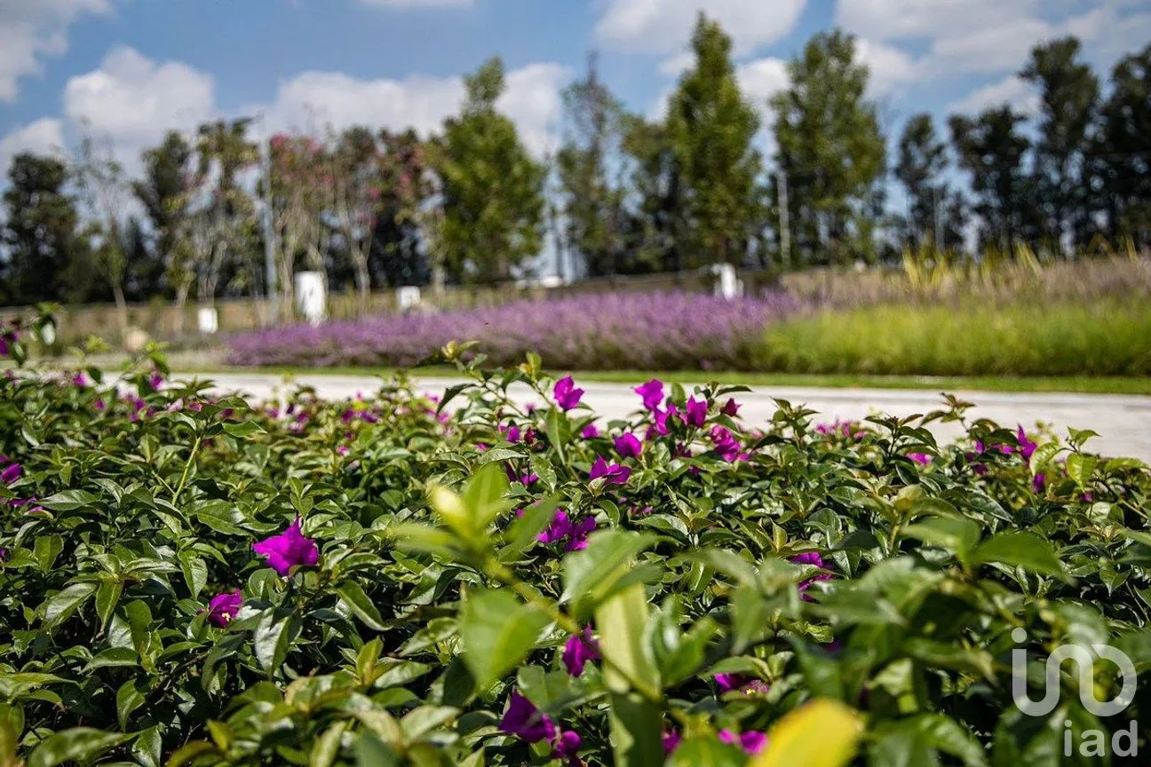 Terreno en Venta en Tolometla de Benito Juárez, Atlixco, Puebla | NEX-288258 | iad México | Foto 6 de 15