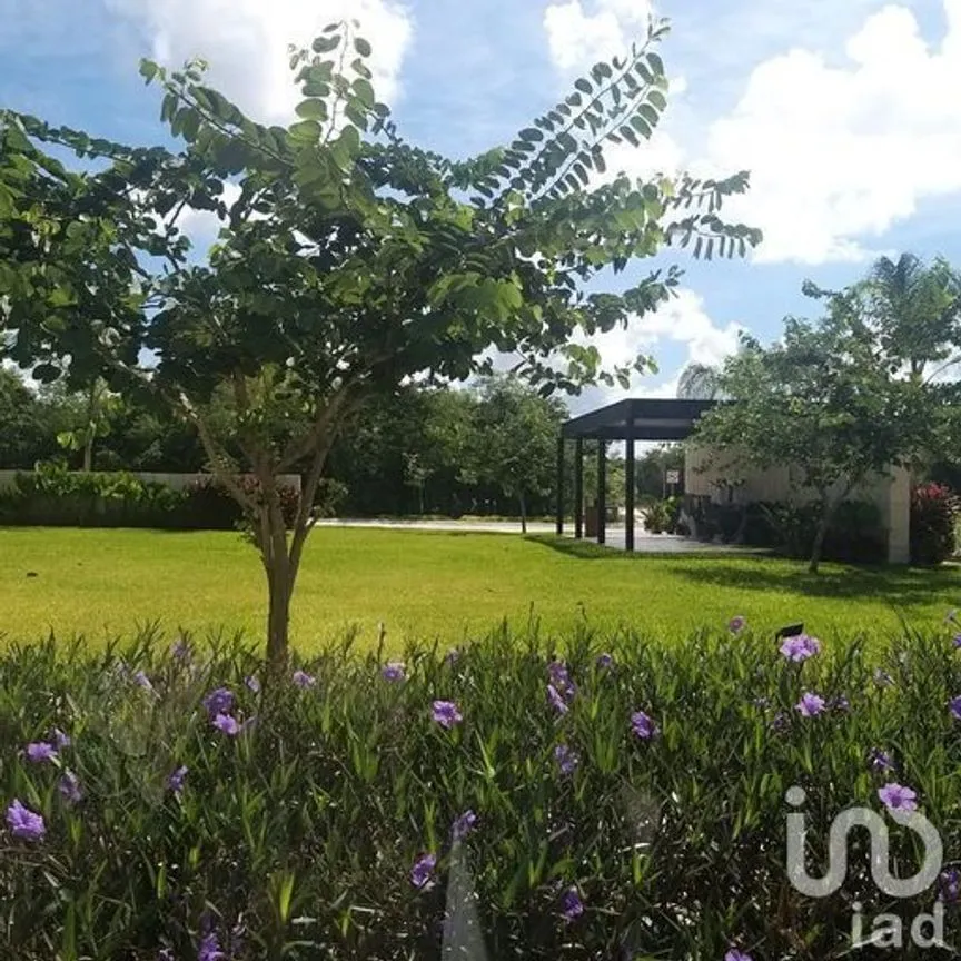 Terreno en Venta en Chablekal, Mérida, Yucatán | NEX-232264 | iad México | Foto 9 de 12