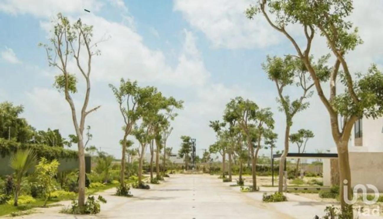 Terreno en Venta en Santa Gertrudis Copo, Mérida, Yucatán | NEX-232267 | iad México | Foto 2 de 10