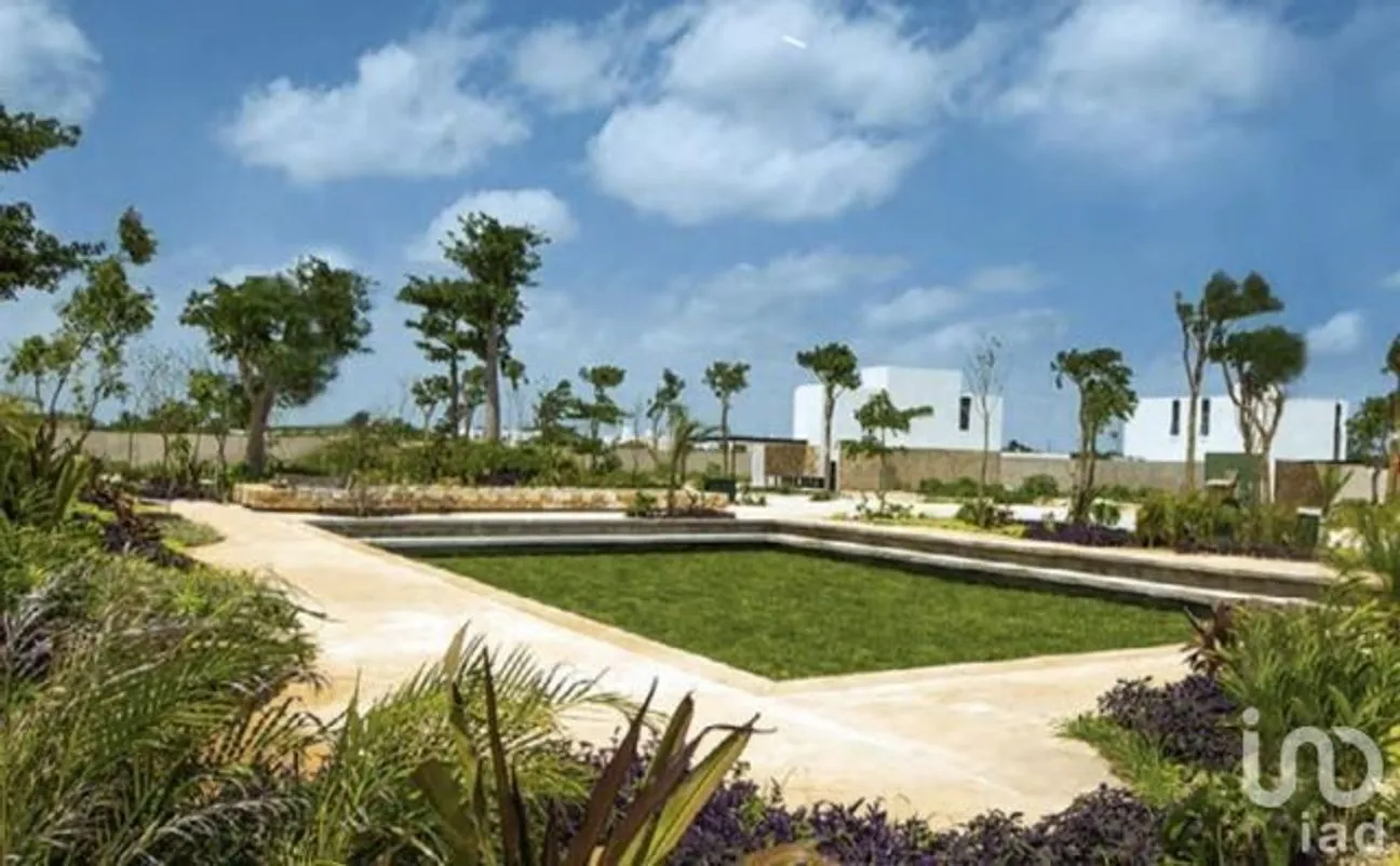 Terreno en Venta en Santa Gertrudis Copo, Mérida, Yucatán | NEX-232267 | iad México | Foto 3 de 10