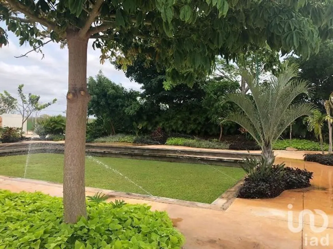 Terreno en Venta en Santa Gertrudis Copo, Mérida, Yucatán | NEX-232267 | iad México | Foto 4 de 10