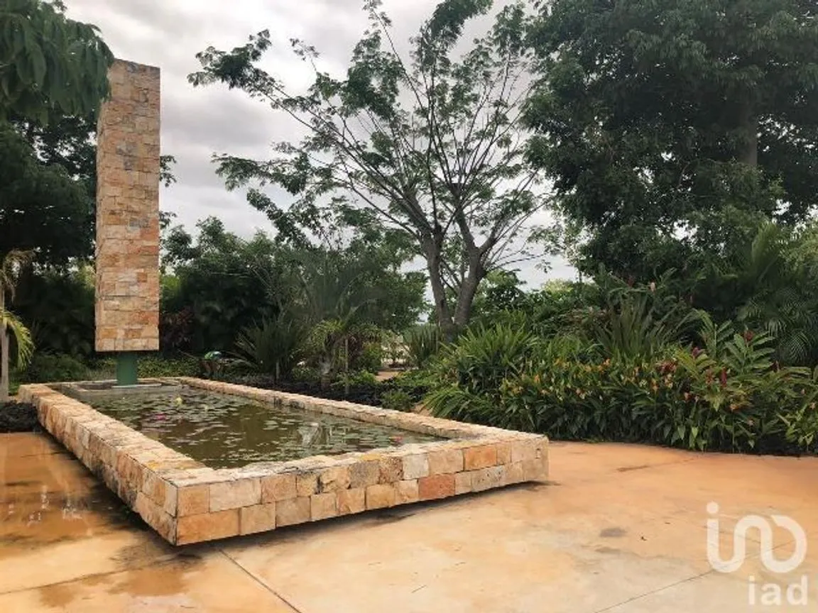 Terreno en Venta en Santa Gertrudis Copo, Mérida, Yucatán | NEX-232267 | iad México | Foto 6 de 10