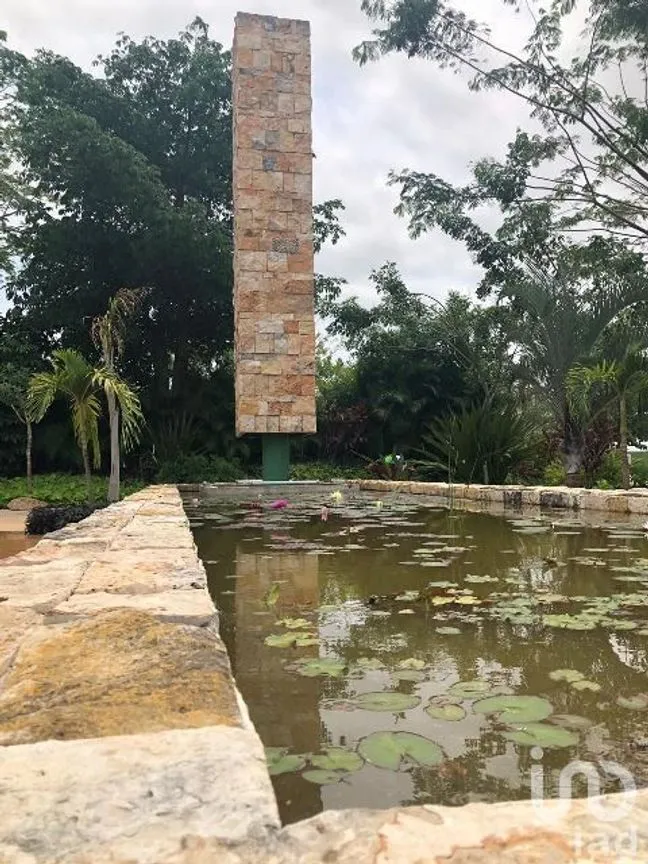 Terreno en Venta en Santa Gertrudis Copo, Mérida, Yucatán | NEX-232267 | iad México | Foto 8 de 10