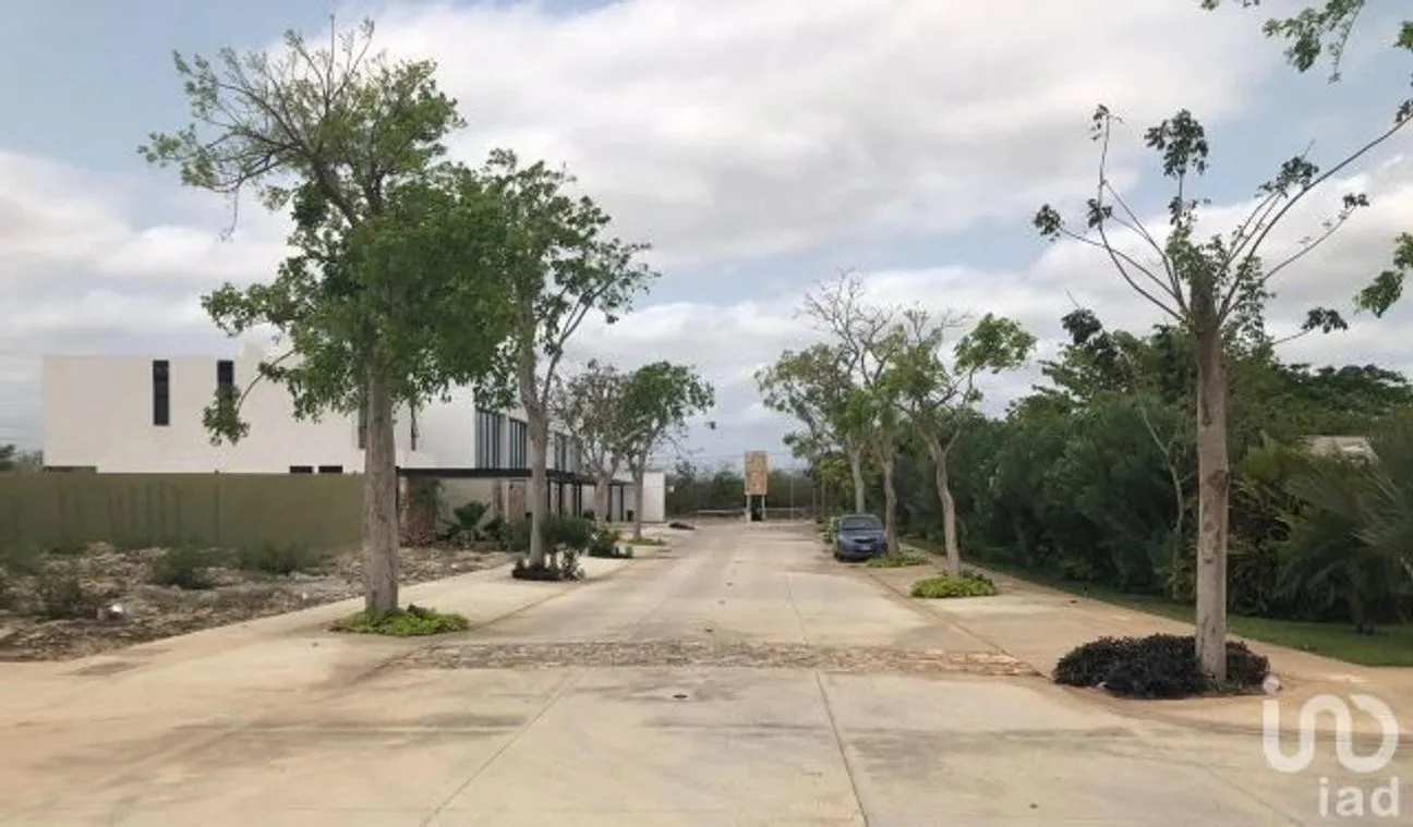 Terreno en Venta en Santa Gertrudis Copo, Mérida, Yucatán | NEX-232267 | iad México | Foto 1 de 10