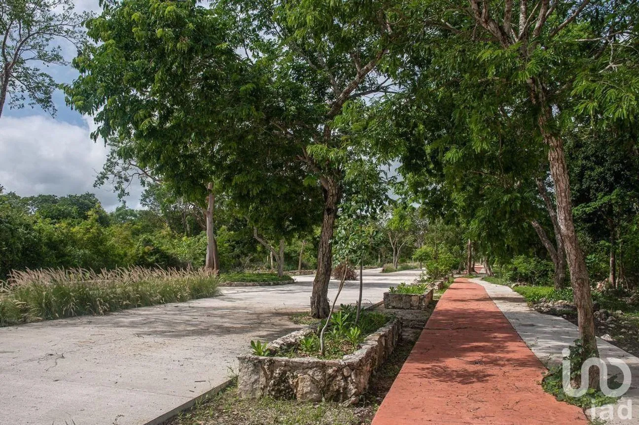 Terreno en Venta en Tamanché, Mérida, Yucatán | NEX-232273 | iad México | Foto 11 de 12
