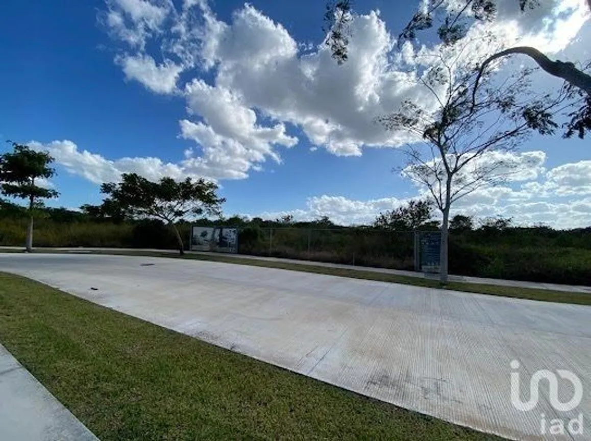 Terreno en Venta en Cabo Norte, Mérida, Yucatán | NEX-232287 | iad México | Foto 12 de 14