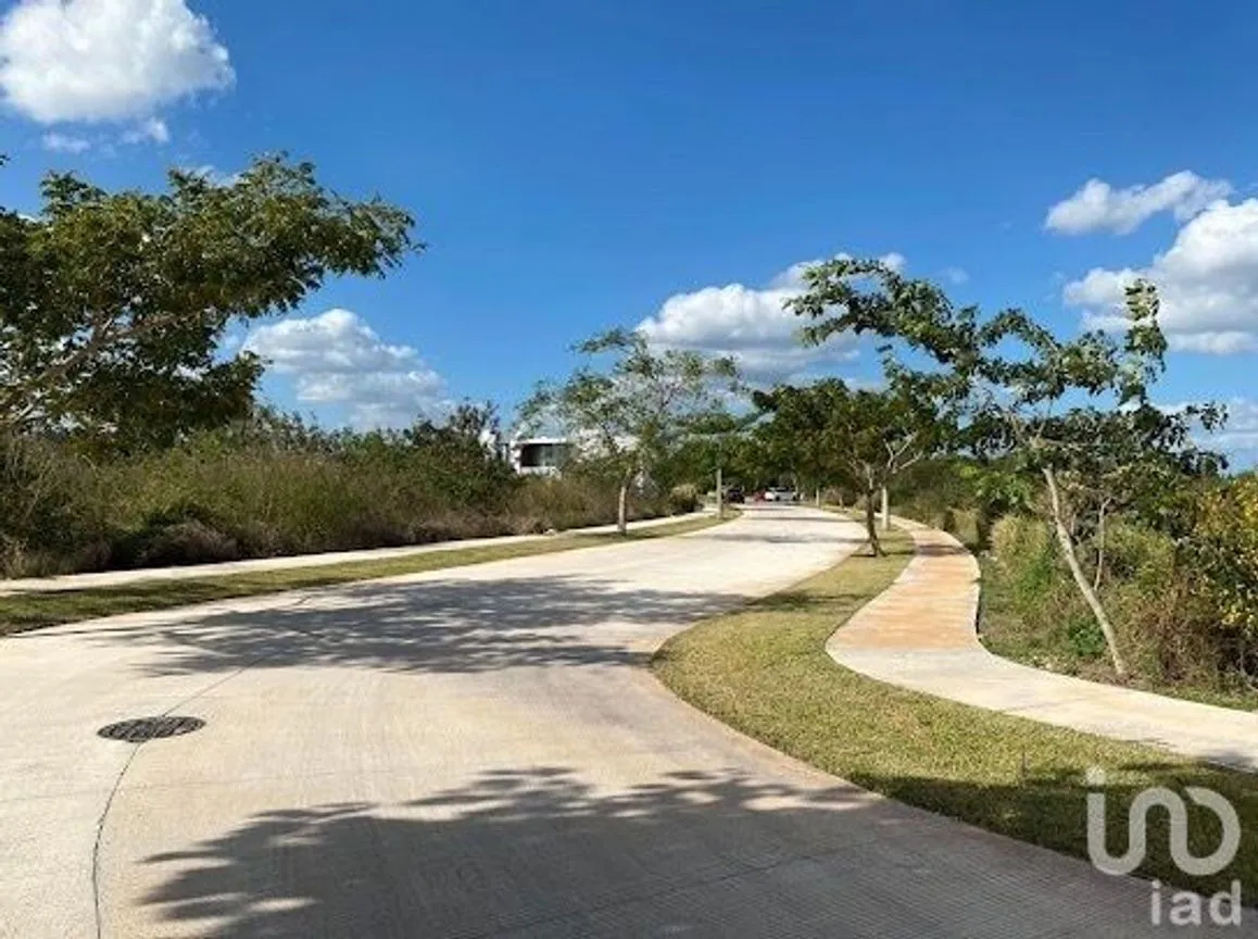 Terreno en Venta en Cabo Norte, Mérida, Yucatán | NEX-232287 | iad México | Foto 13 de 14