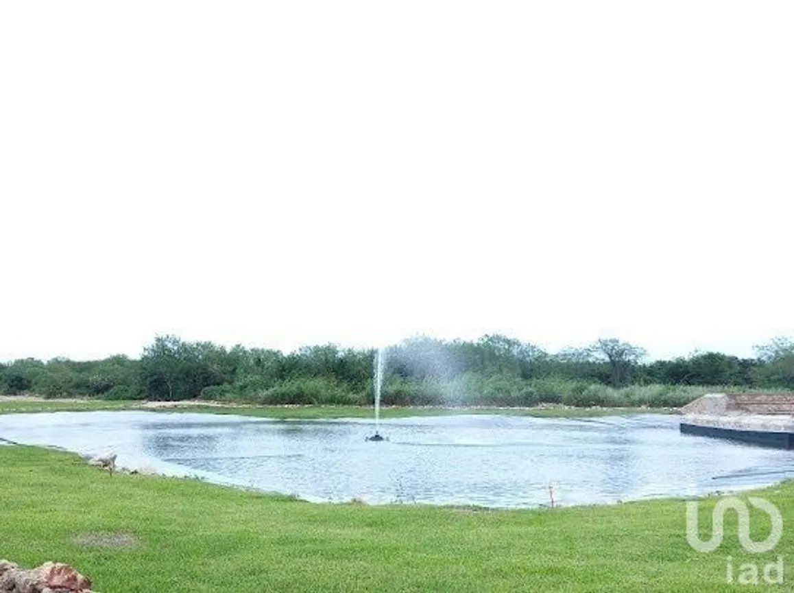 Terreno en Venta en Cabo Norte, Mérida, Yucatán | NEX-232287 | iad México | Foto 9 de 14