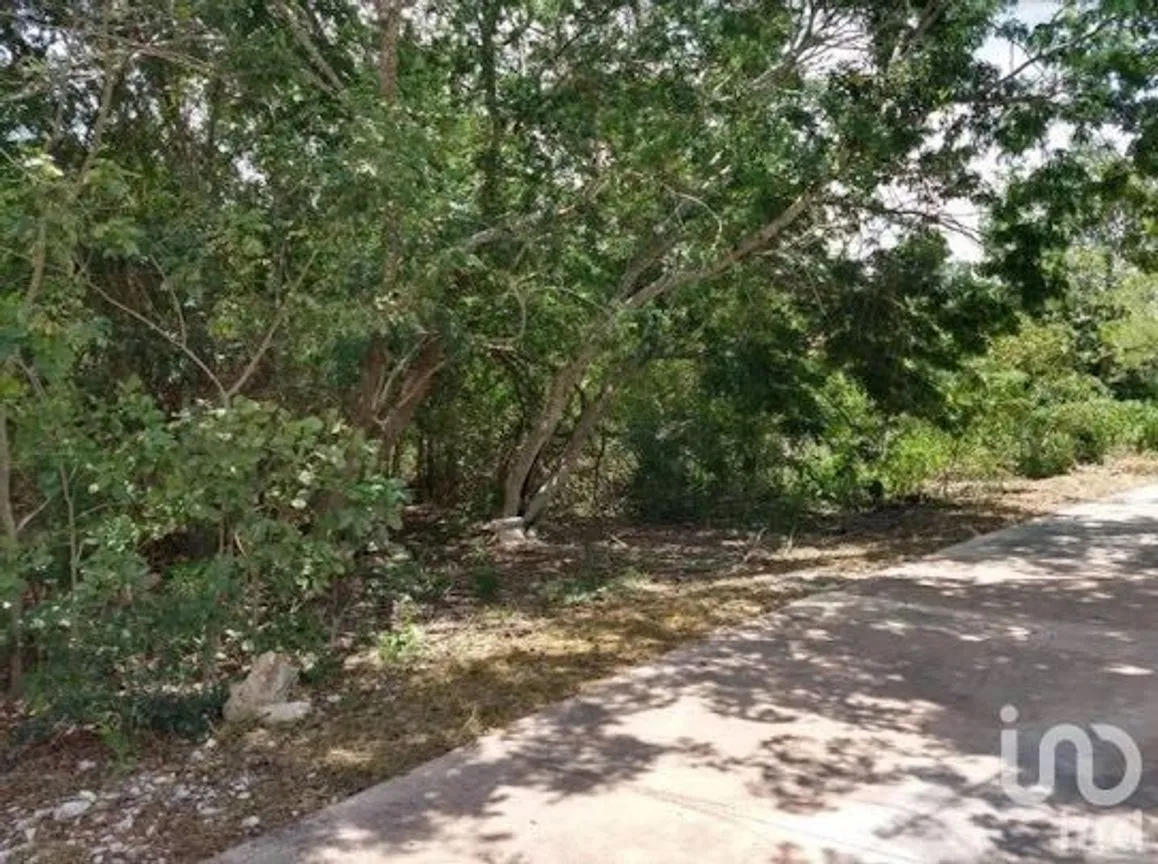 Terreno en Venta en Yucatán Country Club, Mérida, Yucatán | NEX-232288 | iad México | Foto 6 de 9