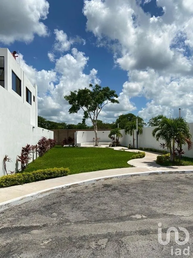 Terreno en Venta en Conkal, Conkal, Yucatán | NEX-232290 | iad México | Foto 3 de 6