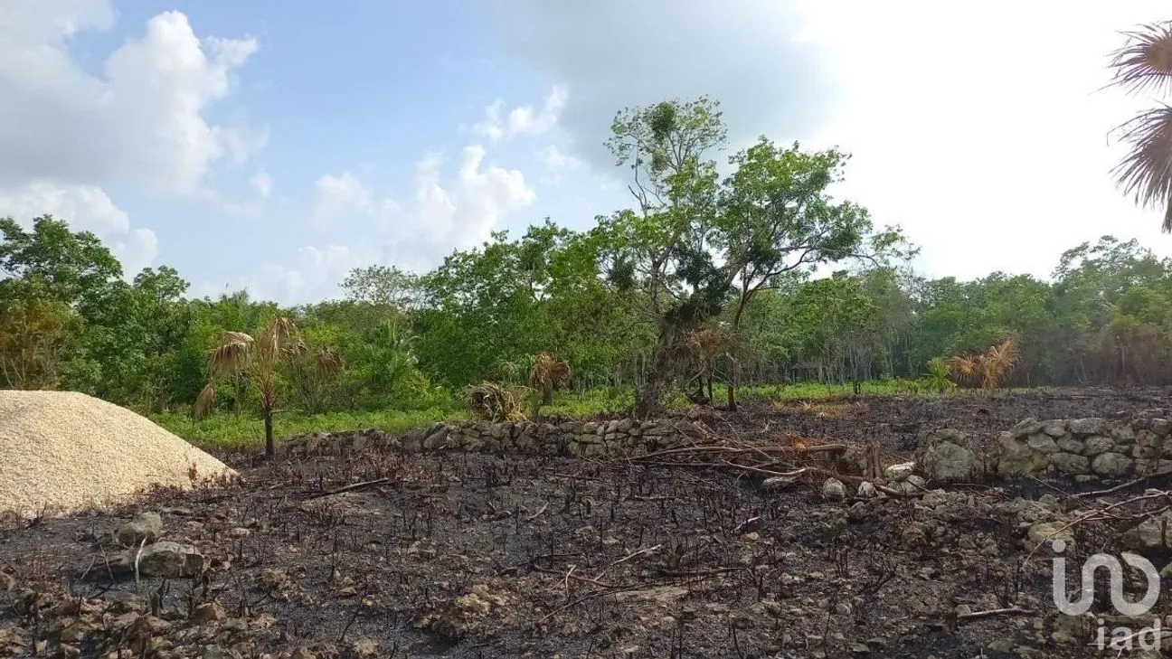 Terreno en Venta en ABC, Benito Juárez, Quintana Roo | NEX-232303 | iad México | Foto 4 de 5