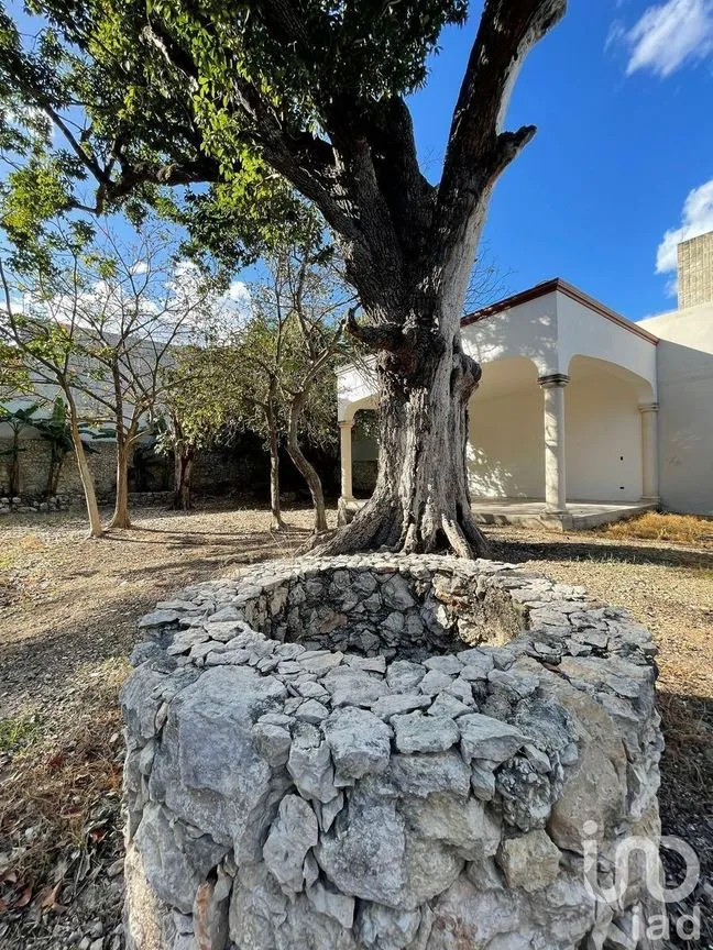 Casa en Venta en Mérida Centro, Mérida, Yucatán | NEX-232308 | iad México | Foto 25 de 37