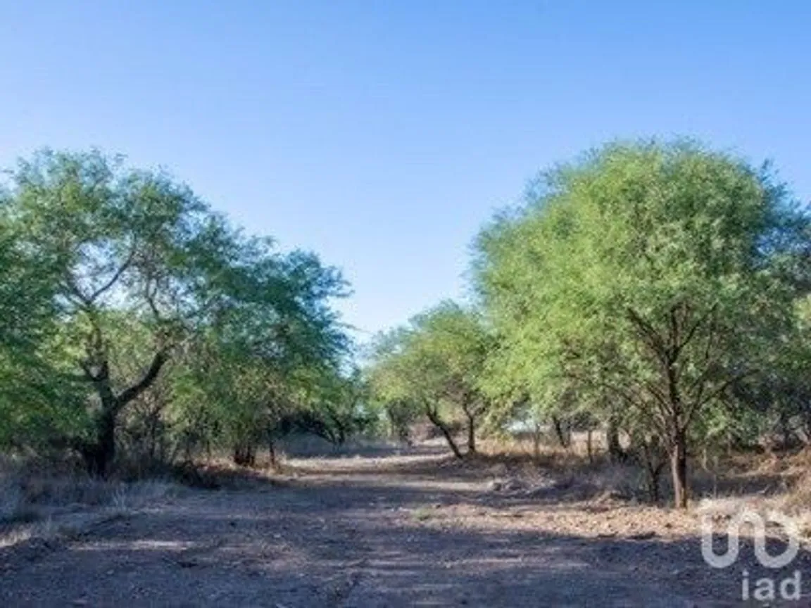 Terreno en Venta en Otomíes, San Miguel de Allende, Guanajuato | NEX-232311 | iad México | Foto 13 de 25