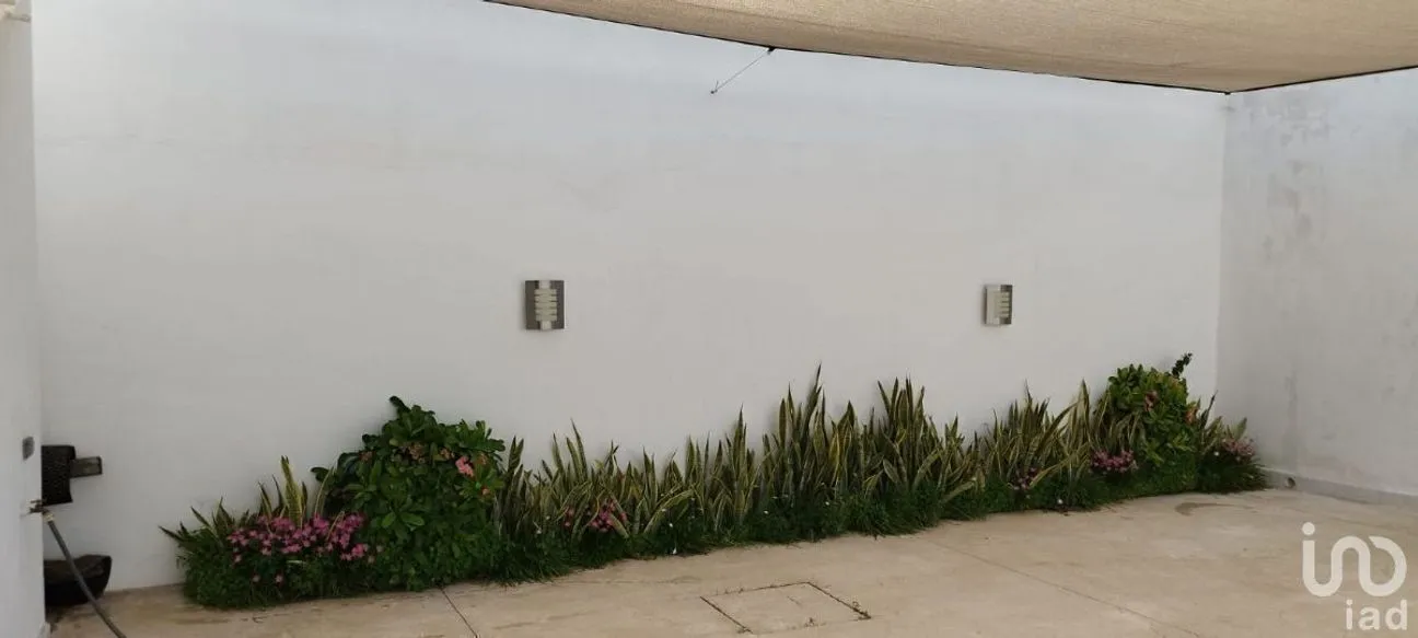 Casa en Venta en Dzityá, Mérida, Yucatán | NEX-232365 | iad México | Foto 8 de 20