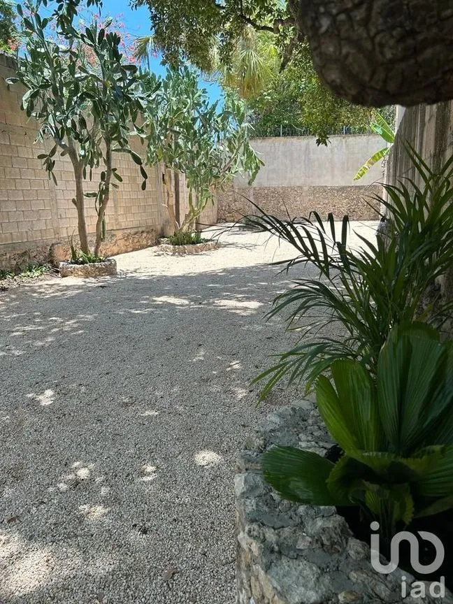 Casa en Venta en Mérida Centro, Mérida, Yucatán | NEX-232397 | iad México | Foto 8 de 38