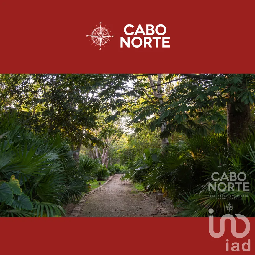Casa en Venta en Cabo Norte, Mérida, Yucatán | NEX-232438 | iad México | Foto 15 de 23