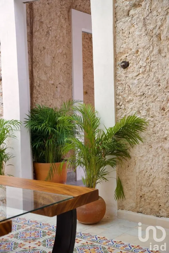 Casa en Venta en Mérida Centro, Mérida, Yucatán | NEX-232466 | iad México | Foto 4 de 19