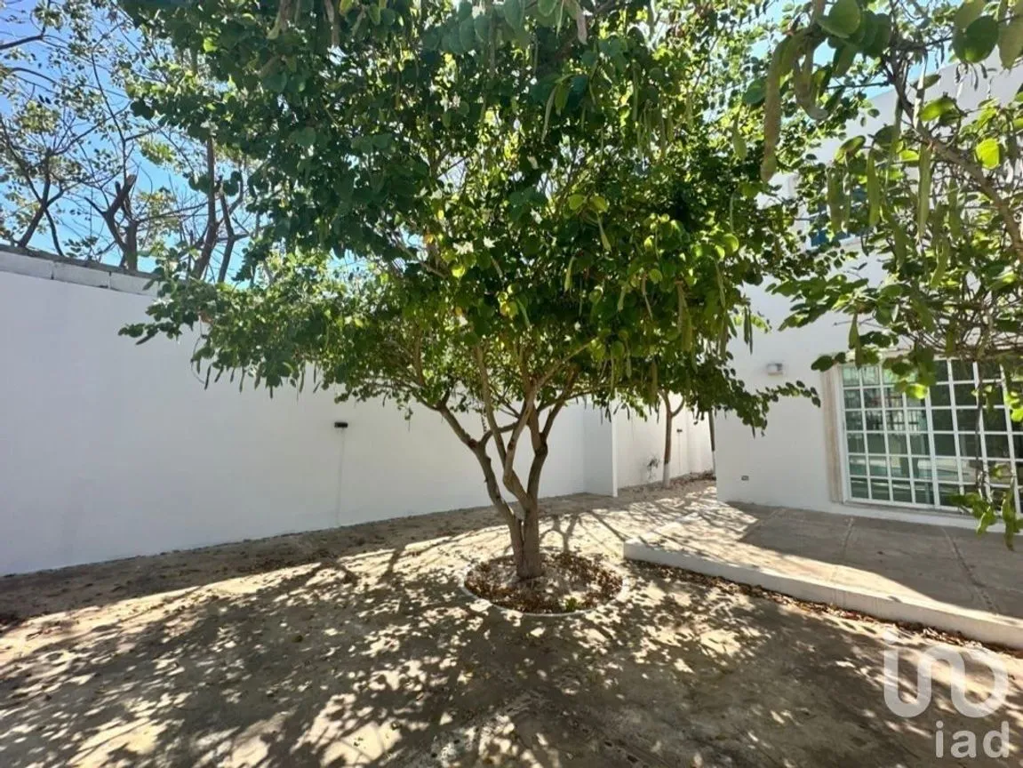 Casa en Renta en Montes de Ame, Mérida, Yucatán | NEX-232473 | iad México | Foto 6 de 32