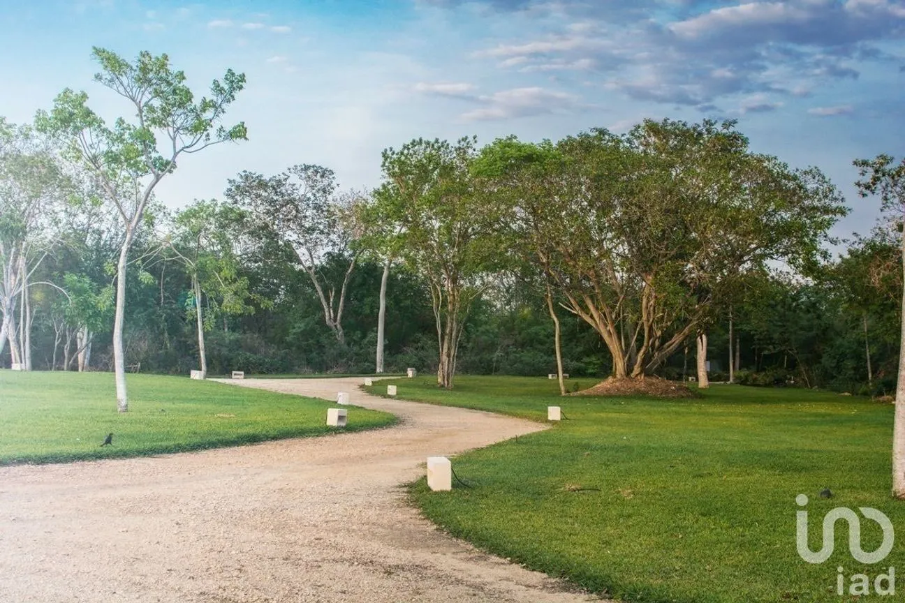 Terreno en Venta en Cabo Norte, Mérida, Yucatán | NEX-232487 | iad México | Foto 22 de 46
