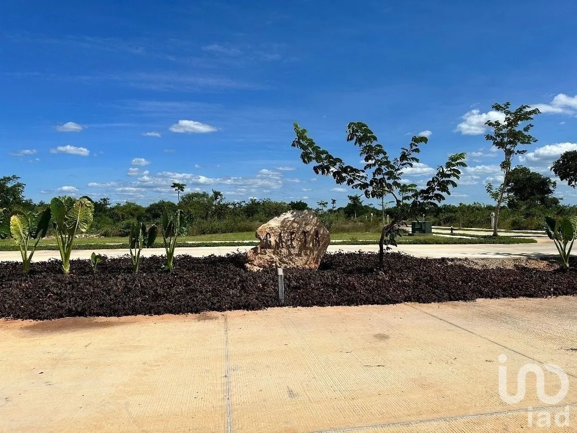 Terreno en Venta en Cabo Norte, Mérida, Yucatán | NEX-232488 | iad México | Foto 23 de 26