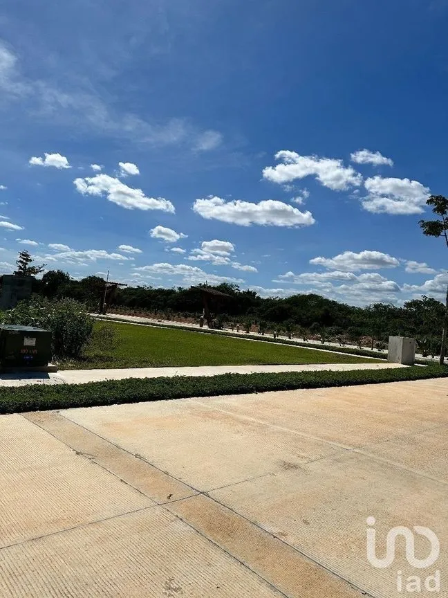 Terreno en Venta en Cabo Norte, Mérida, Yucatán | NEX-232488 | iad México | Foto 24 de 26