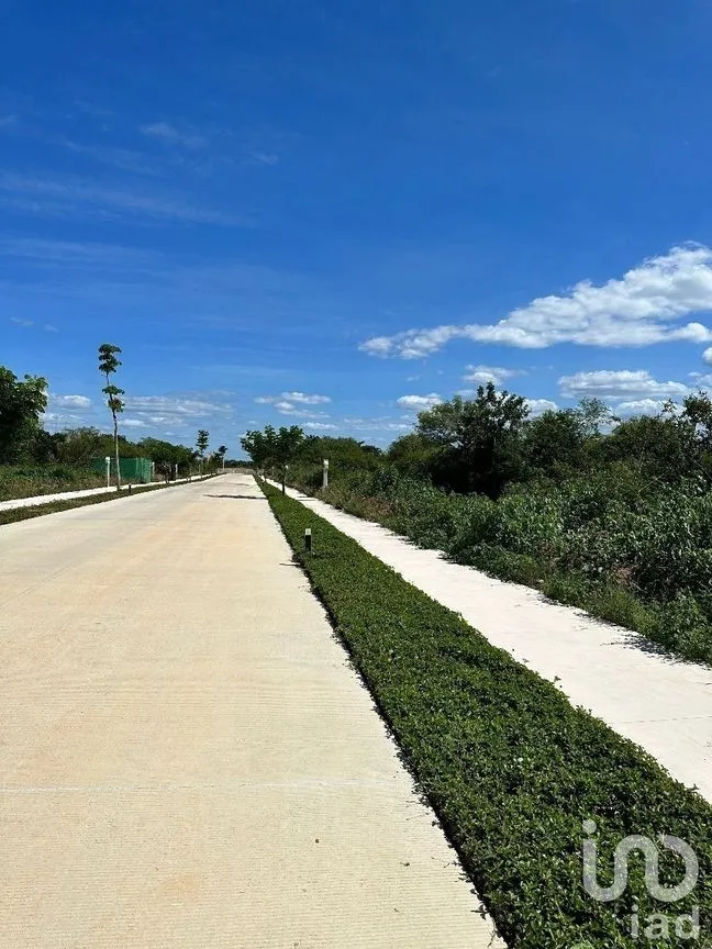 Terreno en Venta en Cabo Norte, Mérida, Yucatán | NEX-232488 | iad México | Foto 25 de 26