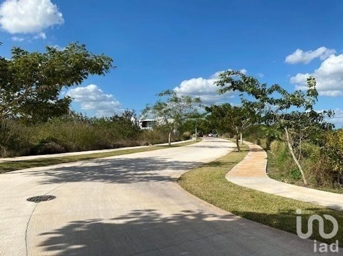 Terreno en Venta en Cabo Norte, Mérida, Yucatán | NEX-232489 | iad México | Foto 13 de 14