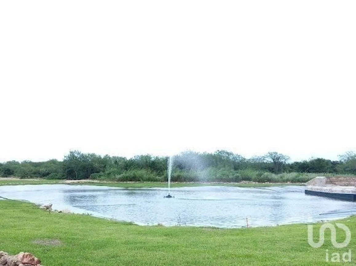 Terreno en Venta en Cabo Norte, Mérida, Yucatán | NEX-232489 | iad México | Foto 9 de 14