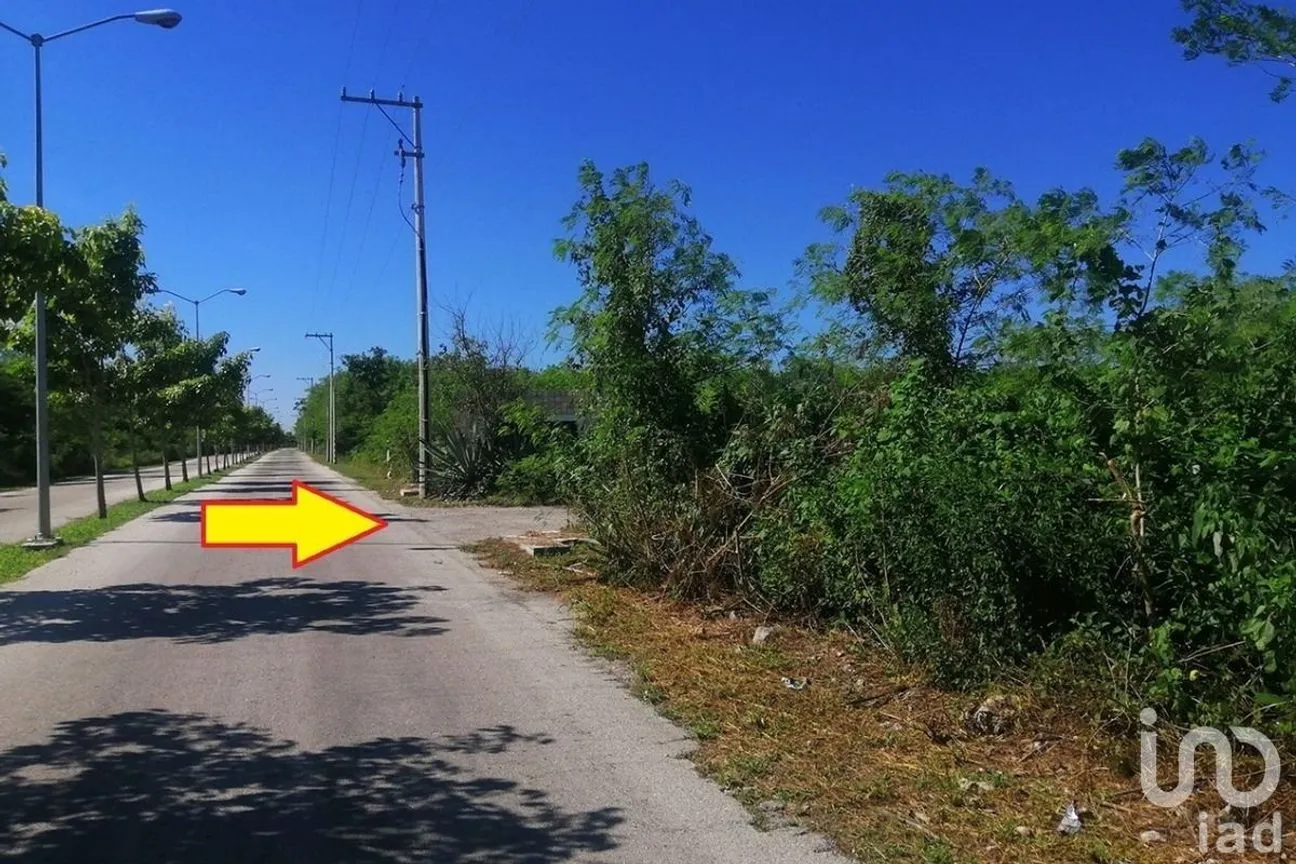 Terreno en Venta en Chicxulub Puerto, Progreso, Yucatán | NEX-232510 | iad México | Foto 3 de 6