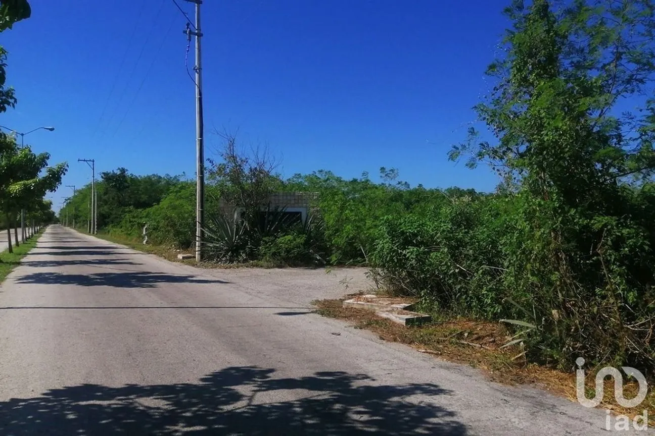 Terreno en Venta en Chicxulub Puerto, Progreso, Yucatán | NEX-232510 | iad México | Foto 1 de 6