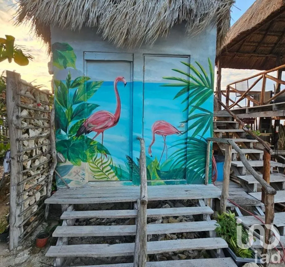 Terreno en Venta en Chabihau, Yobaín, Yucatán | NEX-232513 | iad México | Foto 7 de 11