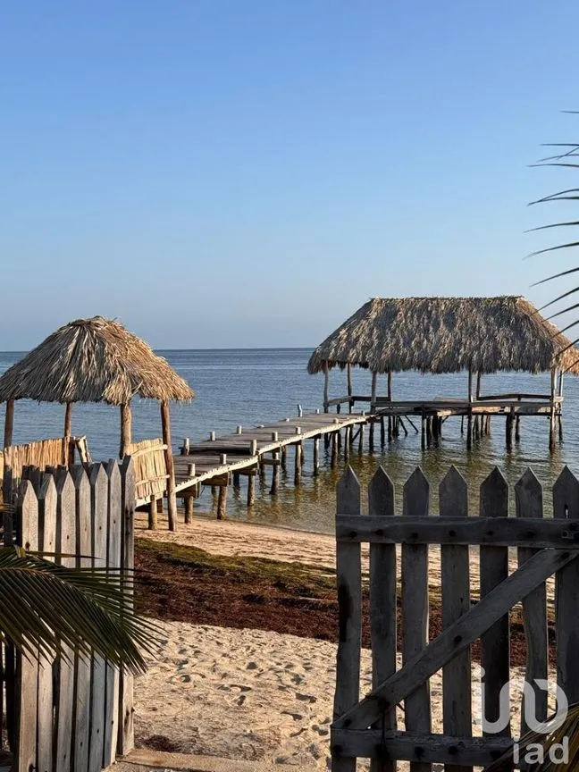 Terreno en Venta en Chabihau, Yobaín, Yucatán | NEX-232513 | iad México | Foto 9 de 11