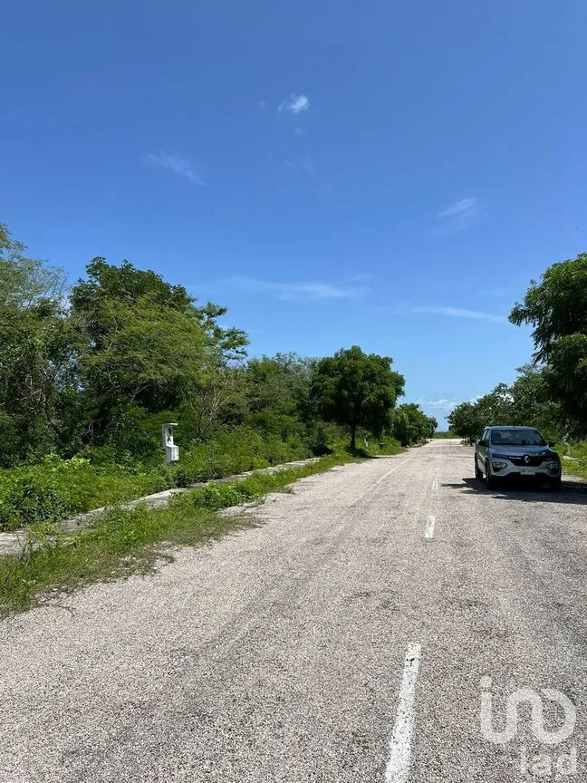Terreno en Venta en Yaxkukul, Yaxkukul, Yucatán | NEX-232558 | iad México | Foto 10 de 15