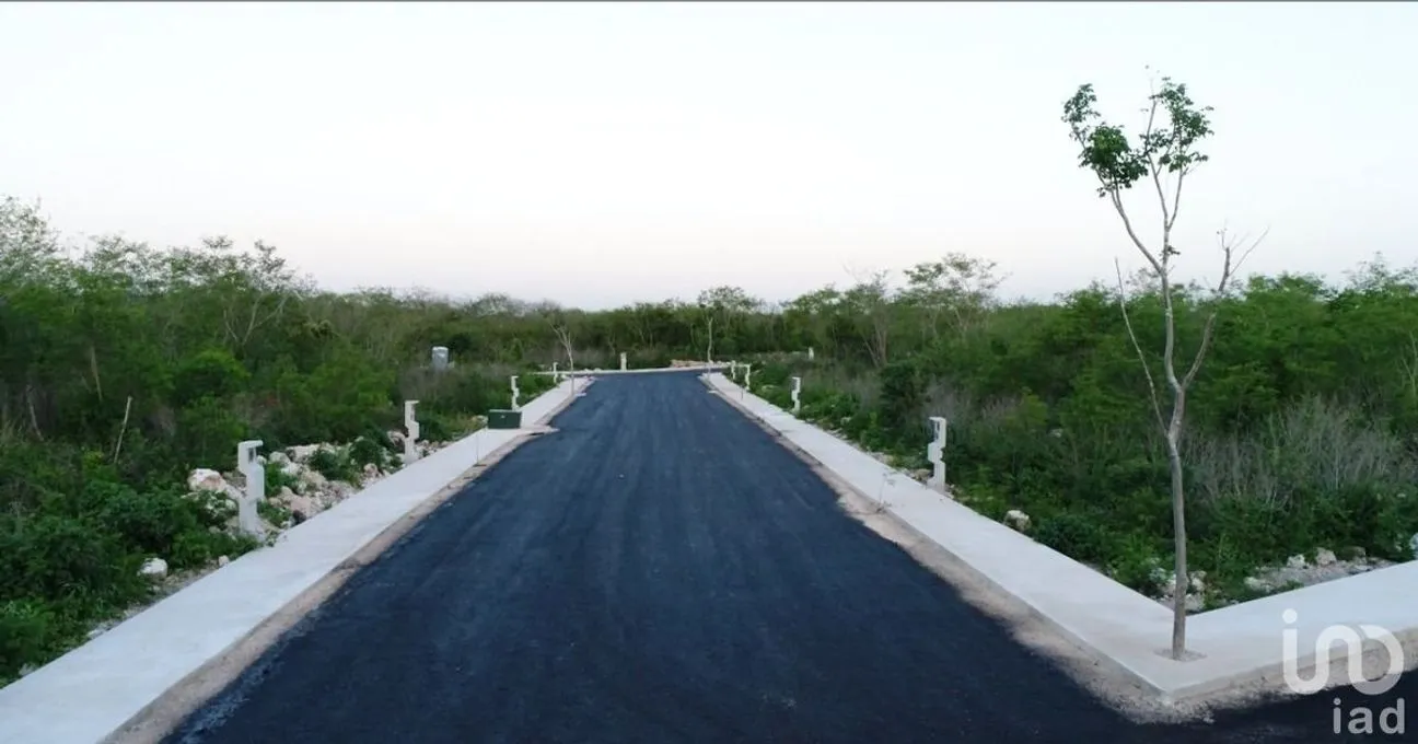 Terreno en Venta en Yaxkukul, Yaxkukul, Yucatán | NEX-232560 | iad México | Foto 17 de 32