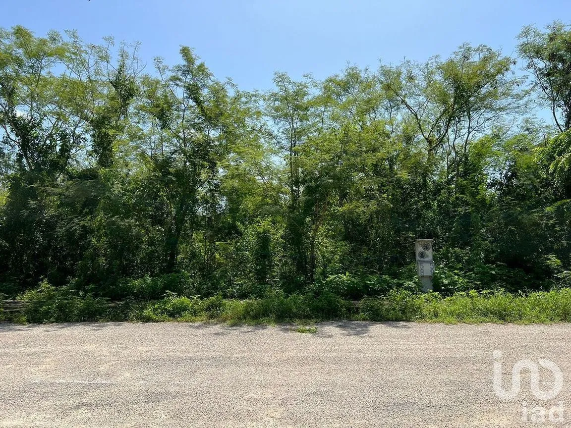 Terreno en Venta en Yaxkukul, Yaxkukul, Yucatán | NEX-232560 | iad México | Foto 24 de 32