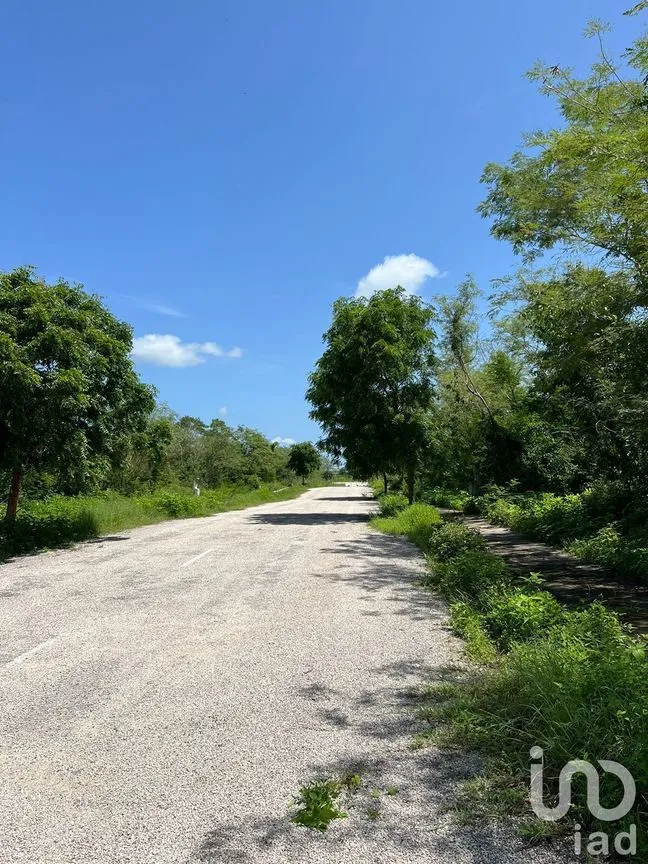 Terreno en Venta en Yaxkukul, Yaxkukul, Yucatán | NEX-232560 | iad México | Foto 29 de 32