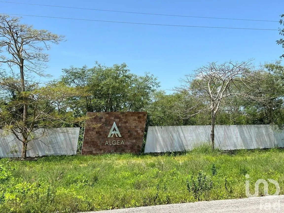 Terreno en Venta en Yaxkukul, Yaxkukul, Yucatán | NEX-232560 | iad México | Foto 30 de 32